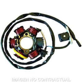 Stator SGR 6 Polos con pick up 130W Peugeot 50