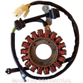 Stator SGR Trifase 18 Polos con pick-up 2 cables