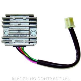 Regulador 12V/15A – Monofase – CC – 5 Cables