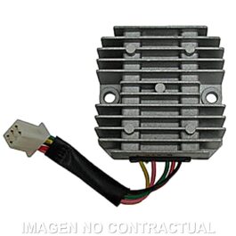 Regulador 12V/15A – Monofase – CC – 5 Cables