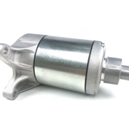 Motor de arranque Yamaha FZR1000
