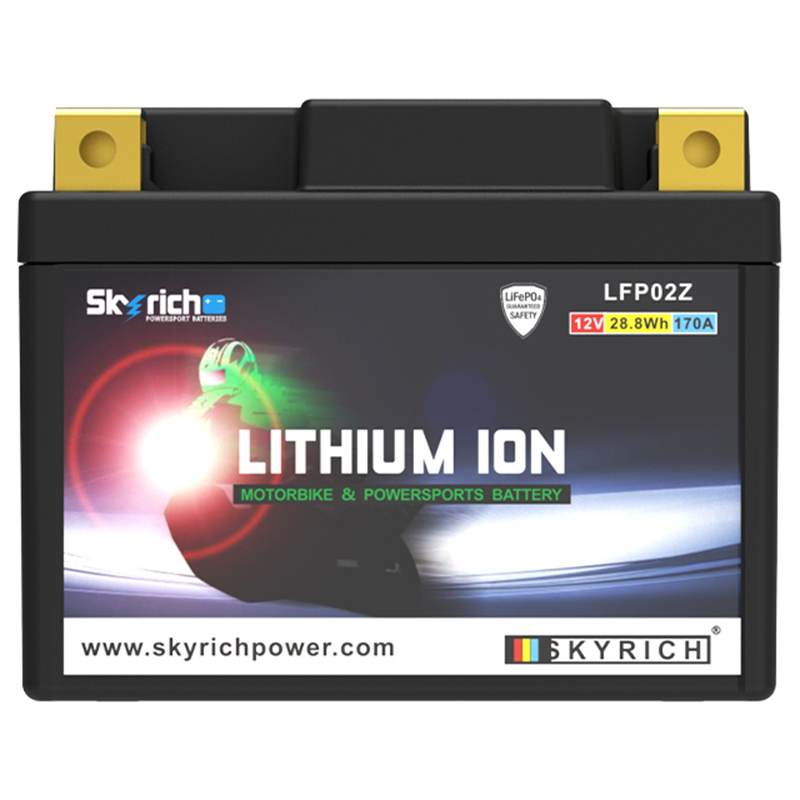 Batería litio Skyrich LFP02Z - Imagen 3