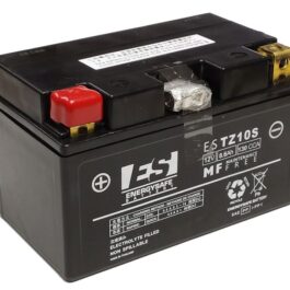 BATERÍA ENERGYSAFE ESTZ10-S PRECARGADA