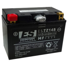 BATERÍA ENERGYSAFE ESTZ14-S PRECARGADA