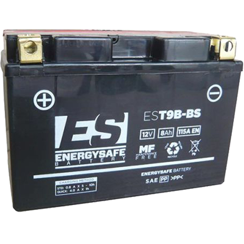 BATERÍA ENERGYSAFE EST9B-BS SIN MANTENIMIENTO