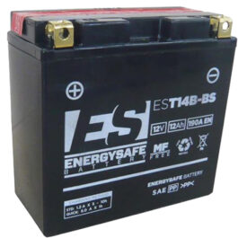 BATERÍA ENERGYSAFE EST14B-BS SIN MANTENIMIENTO