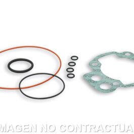 Juego De Juntas Motor Minarelli AM6