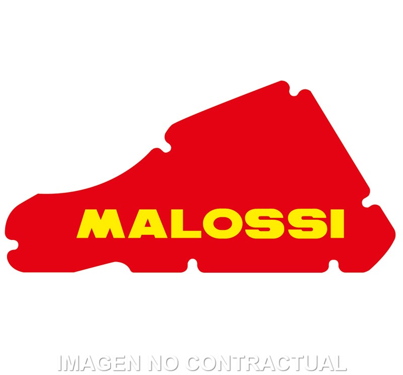 Filtro Aire Malossi Storm
