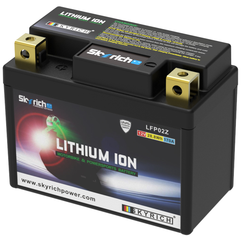 Batería litio Skyrich LFP02Z - Imagen 2