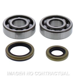 Kit de rodamientos cigüeñal All Balls 24-1119