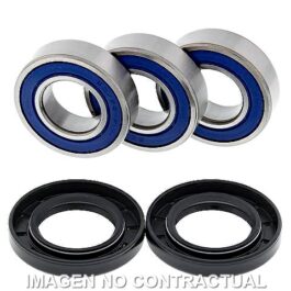 Kit de rodamientos rueda All Balls 25-1021
