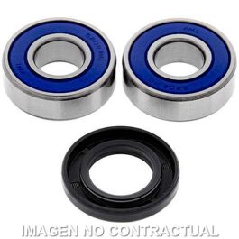 Kit de rodamientos rueda All Balls 25-1038