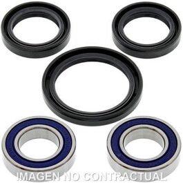 Kit de rodamientos rueda All Balls 25-1080