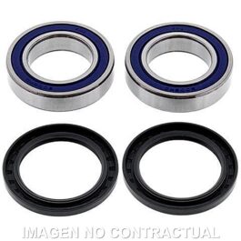 Kit de rodamientos rueda All Balls 25-1132
