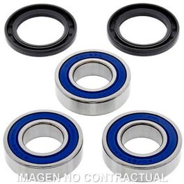 Kit de rodamientos rueda All Balls 25-1255