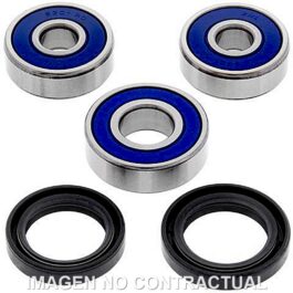 Kit de rodamientos rueda All Balls 25-1600