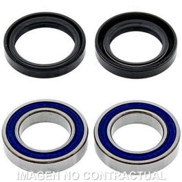 Kit de rodamientos rueda All Balls 25-1661