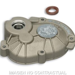 Tapa cubre desmultiplicador Motor PIAGGIO.