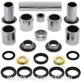 Kit de rodamientos y retenes del trapecio All Balls 27-1065