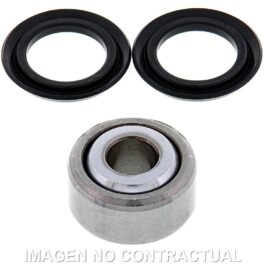 Kit de revisión amortiguador trasero All Balls 29-1011