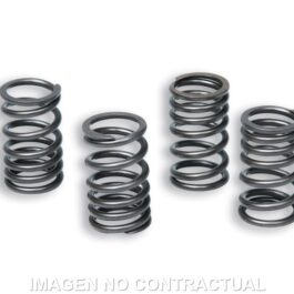 Muelles Embrague Original Motor AM6 TZR 50