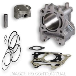 CILINDRO MALOSSI D.61 MM 4 STROKE HONDA FORZA 125