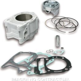 CILINDRO MALOSSI I-TECH PIAGGIO BEVERLY HPE 300 E5
