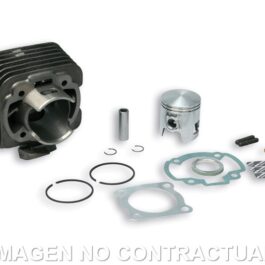 Cilindro S/Culata D. 47 Honda Dio