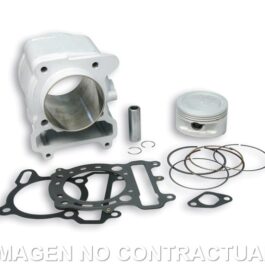 Cilindro S/ Culata D74mm Majesty 250, Leonardo 4T