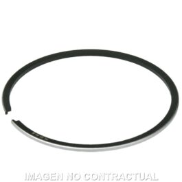 Segmento Cromado Malossi D. 47,6 x 1 mm
