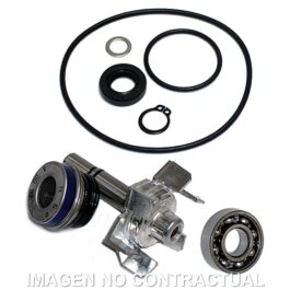 Kit Reparación Bomba De Agua T-Max 500 (04-11)