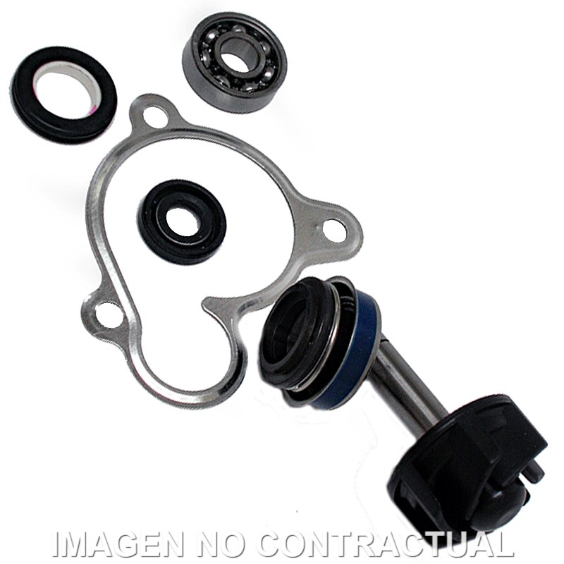 Kit Reparación Bomba De Agua Yamaha Majesty 250