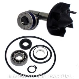 Kit Reparación Bomba De Agua Yamaha T-Max 530