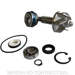 Kit Reparación Bomba De Agua Honda Pantheon