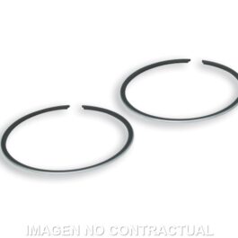 Segmentos D.41 mm Address