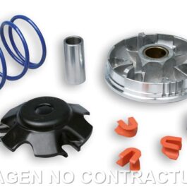 Variador Malossi Multivar 2000 Speedfight 100 Sin Catalizador