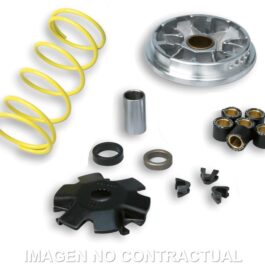 Variador Malossi Multivar Derbi Predator LC