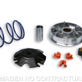 Variador Malossi Multivar 2000 Speedfight 100 C/Catalizador
