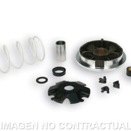Variador Malossi Multivar SR 50 LC 2000