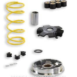 Variador Malossi Multivar Suzuki Address 100