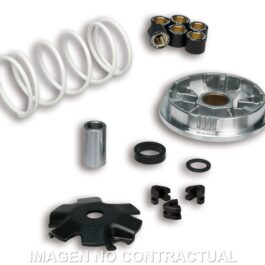 Variador Malossi Multivar Yamaha Giggle 50 4T