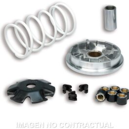 Variador Malossi Multivar 2000 Honda Vision 50 4T