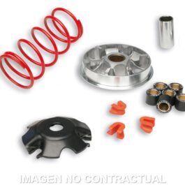 Variador Malossi Multivar Yamaha D´Elight 115
