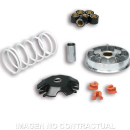 Variador Malossi Multivar Honda Lead 110