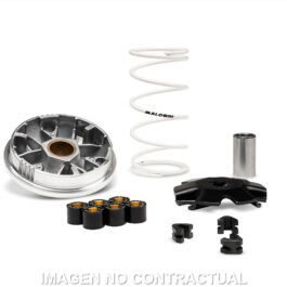 Variador Malossi Multivar RIEJU BYE BIKE ONE
