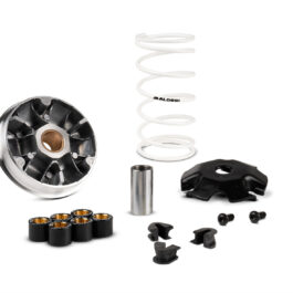 Variador Malossi Multivar HONDA VISION 110 IE 4T