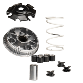 Variador Malossi Multivar SYM JET X 125 IE E5