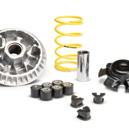 Variador Malossi Multivar SYM Joymax Z+ 300 IE E5