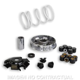VARIADOR MALOSSI MULTIVAR VOGE SFIDA SR16 200 E5+