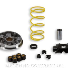 Variador Malossi Multivar Suzuki 50 Adress,Katana,Formula